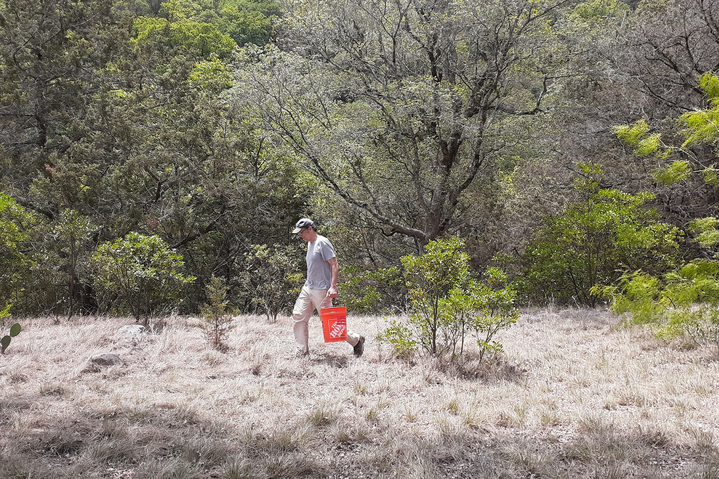 Scientist walking through grass and brush with an orange bucket