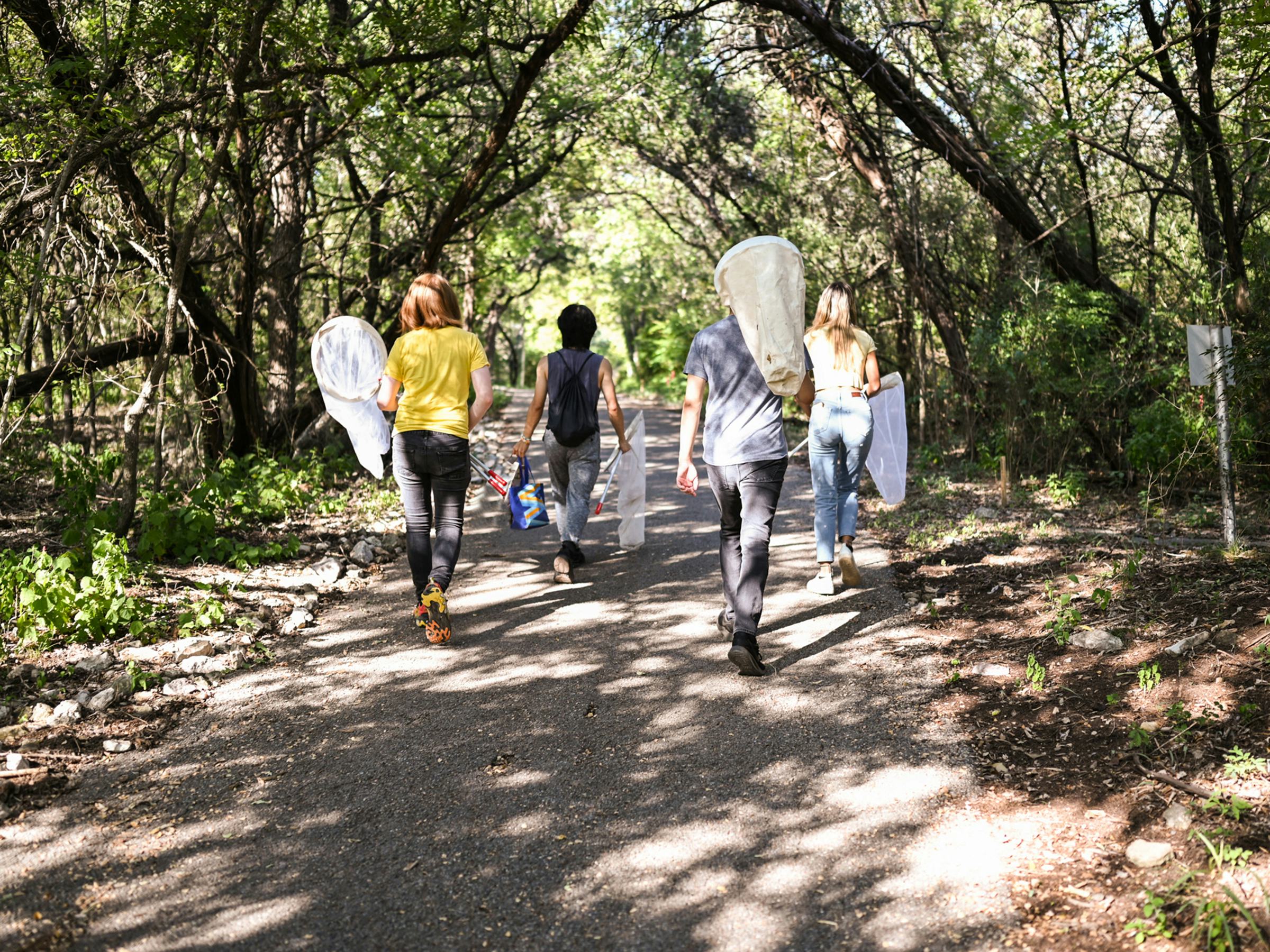 Students with butterfly nets walking down a wooeded path at Brackenridge Field Laboratory.