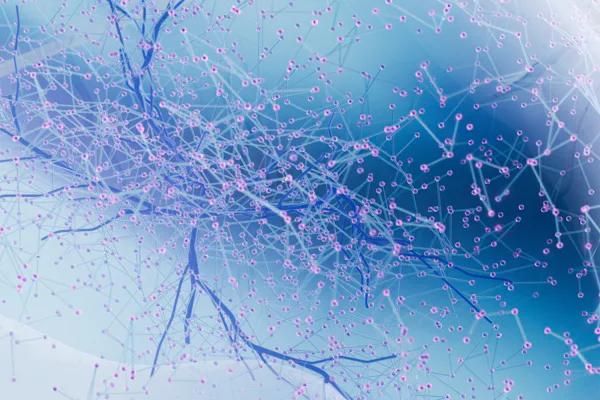 Human Sciences | College of Natural Sciences