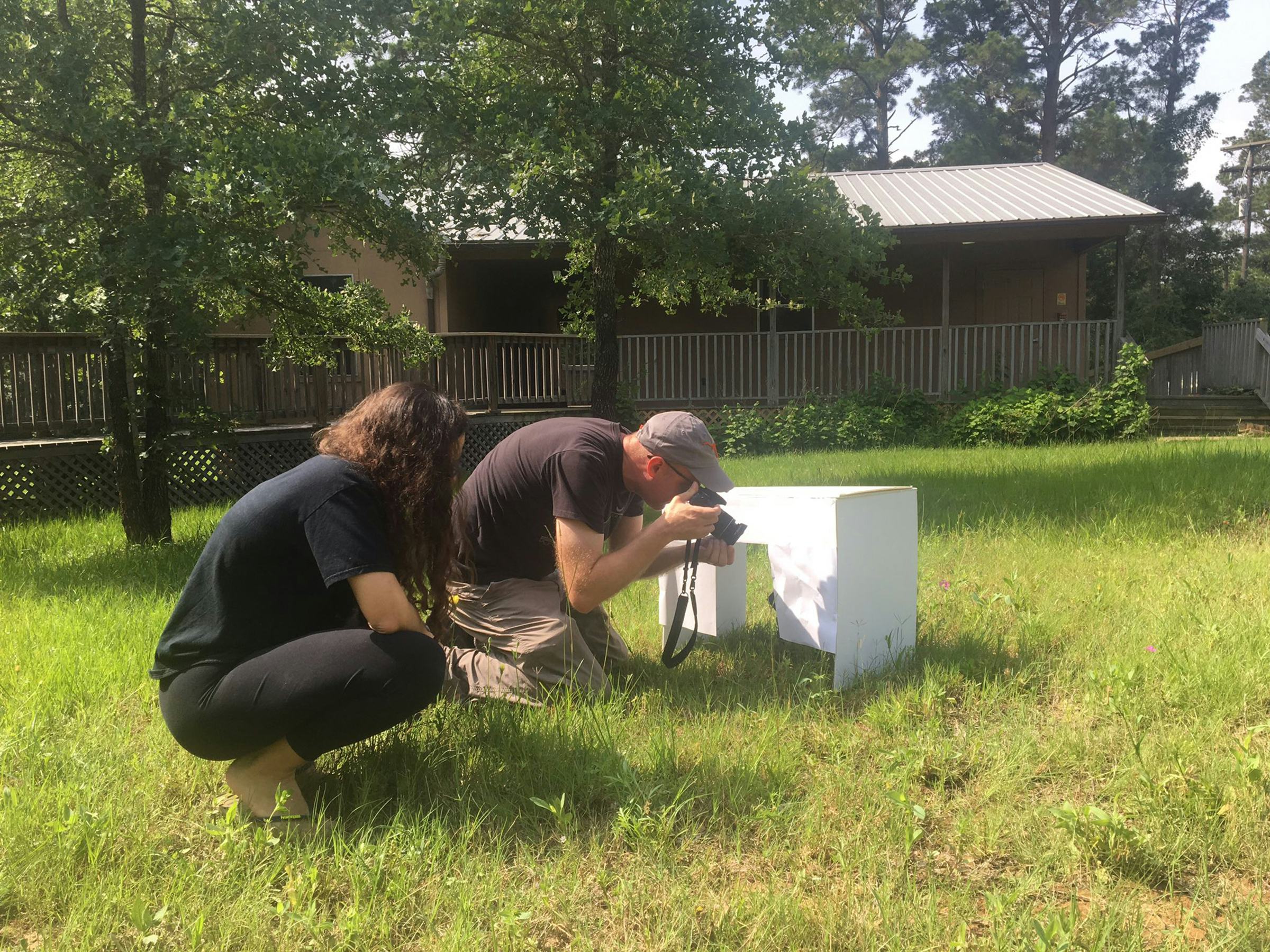 Photos of students conducting research in a grassy field outside a station at Stengl Lost Pines Biological Research Station