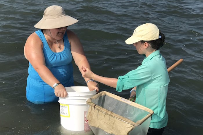 Two women in hats stand in the bay waters, one holding a bucket and one with a net