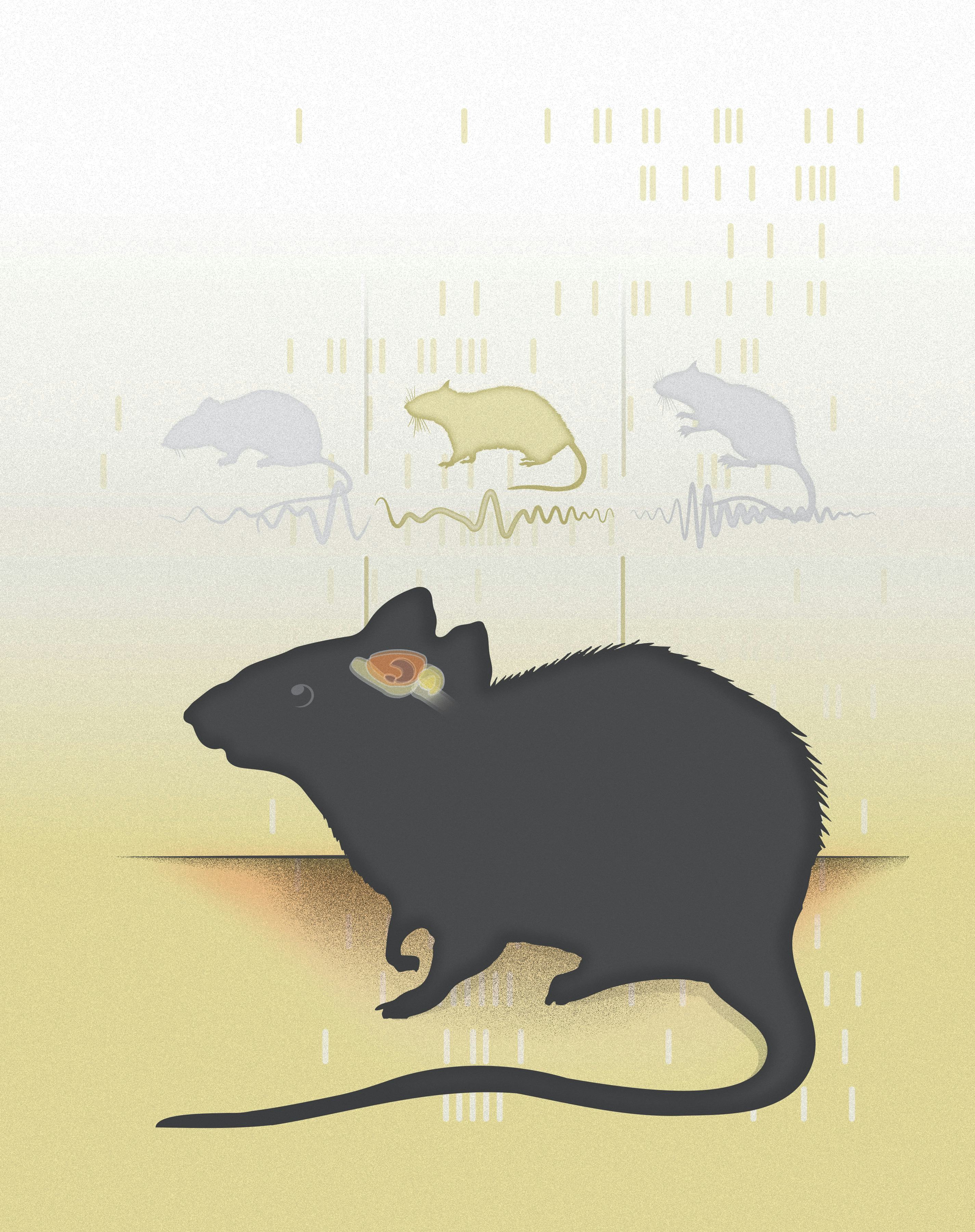 Illustration showing thoughts in a rat's brain