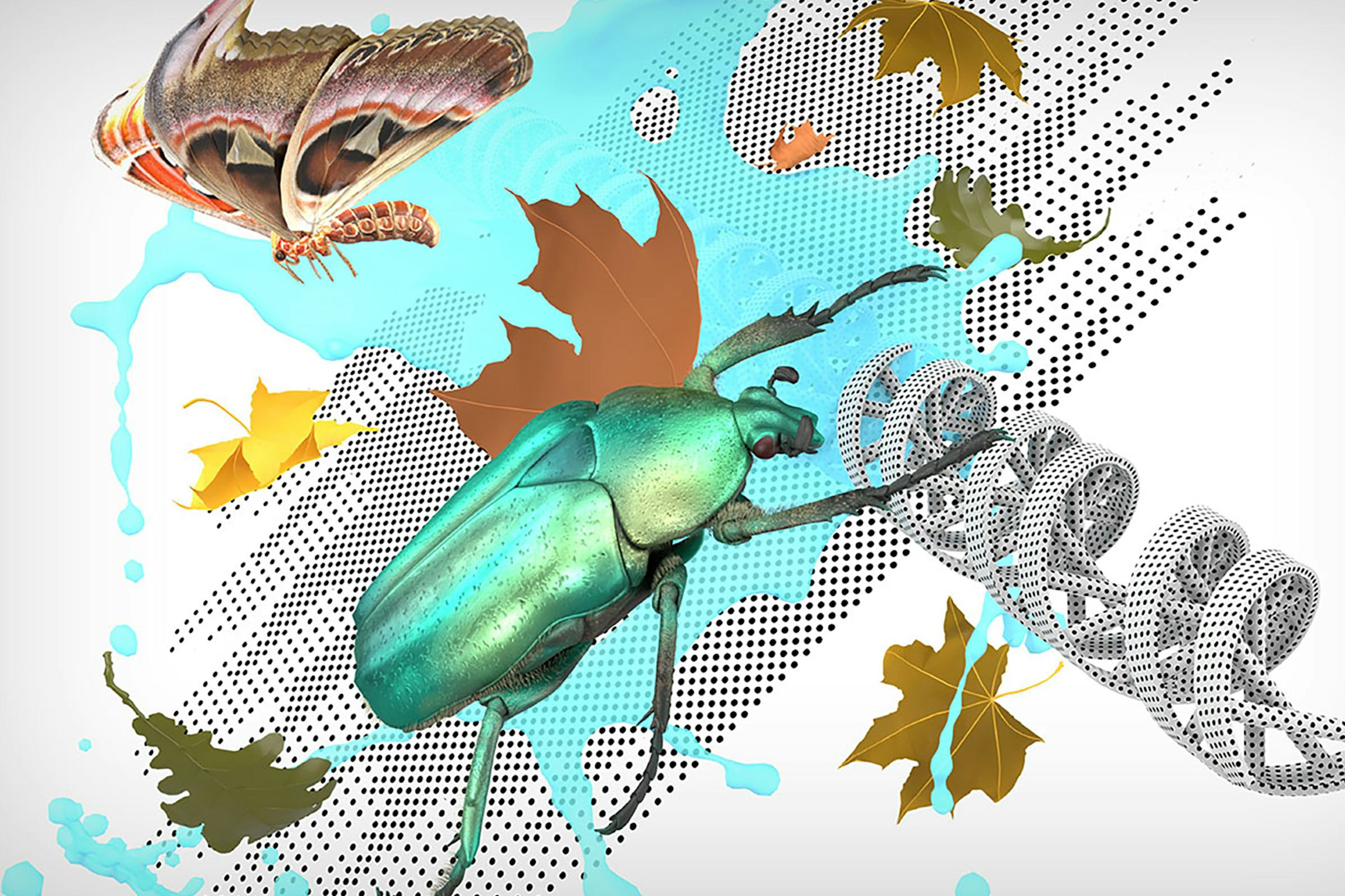 A montage of beetles, leaves, butterflies and DNA