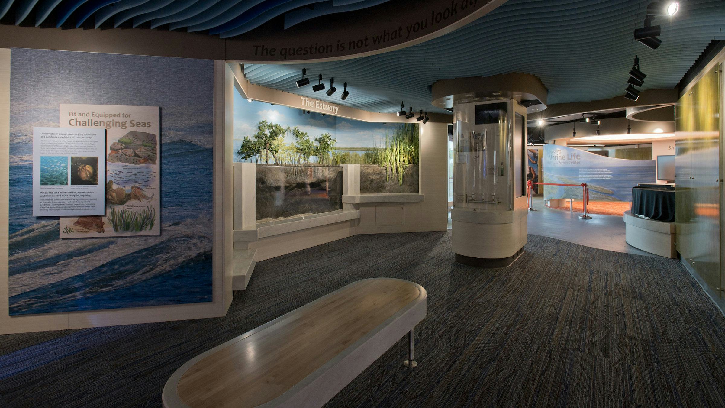 "Fit and Equipped for Challenging Seas" and "The Estuary" say signs on exhibit walls in the new Patton Center