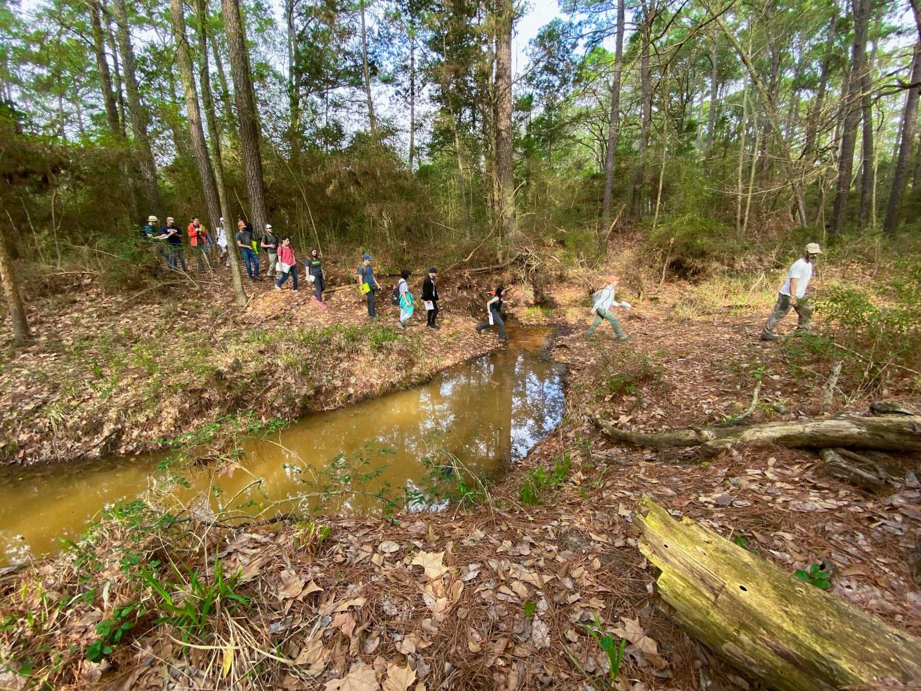 A class walks across a creek in a verdant forest area