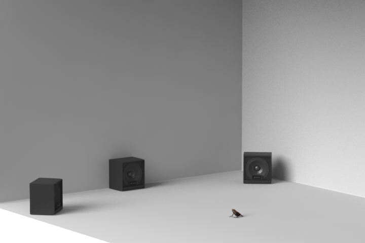 A frog sits in a spare room facing three speakers